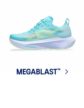 MEGABLAST >