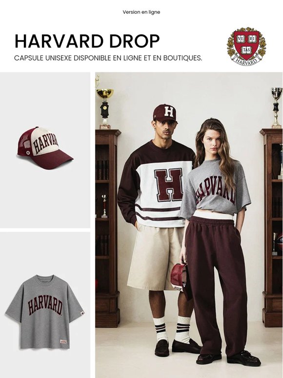 HARVARD, la capsule éphémère à ne pas manquer.
