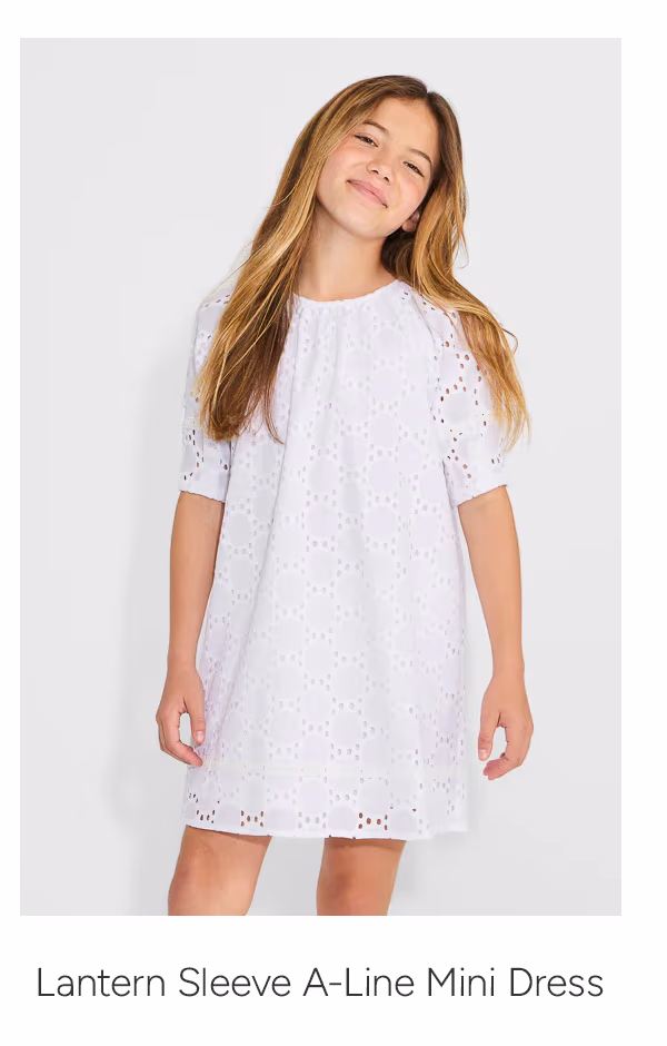 Lantern Sleeve A-Line Mini Dress