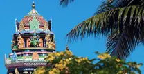 Nadi