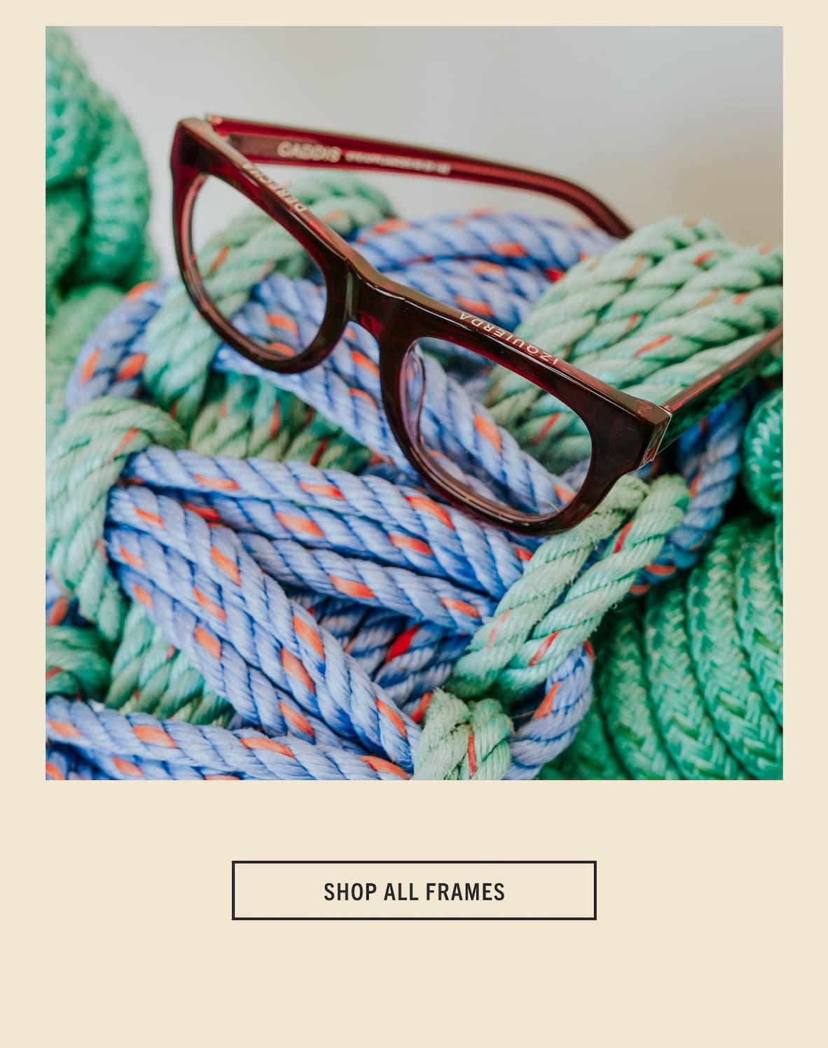 Shop Everything 