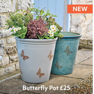 Butterfly Pot £25
