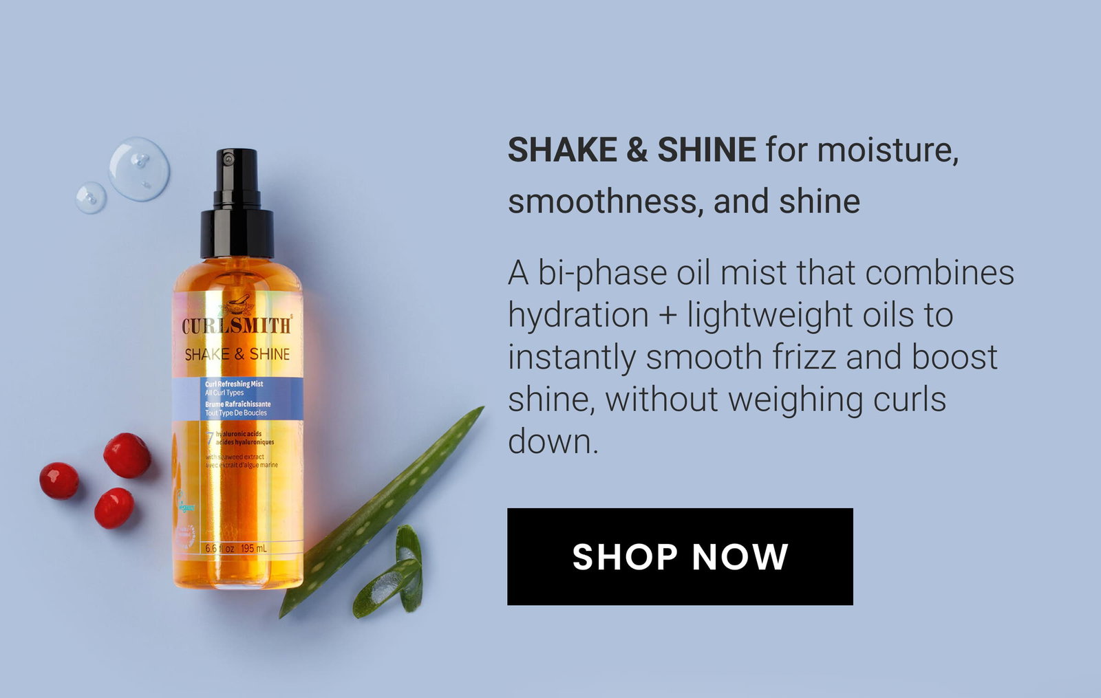 Shake & Shine