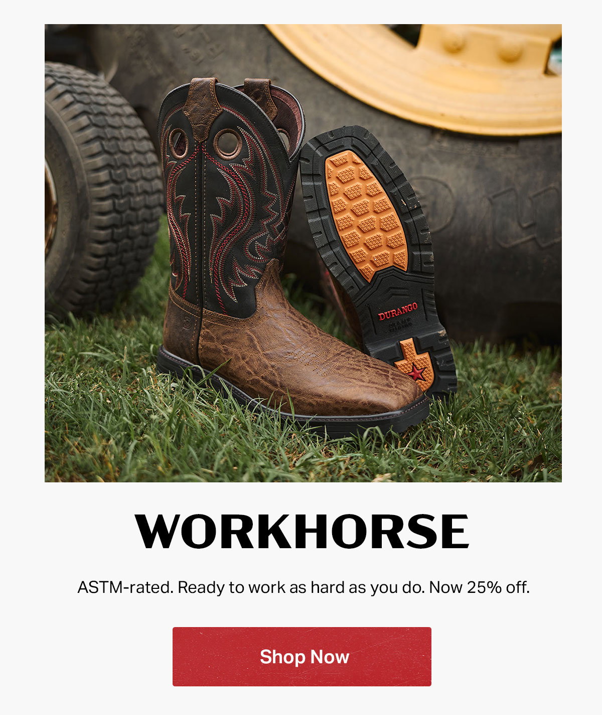 Workhorse Collection