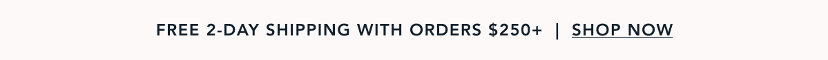 FREE 2-DAY SHIPPING WITH ORDERS $250+
