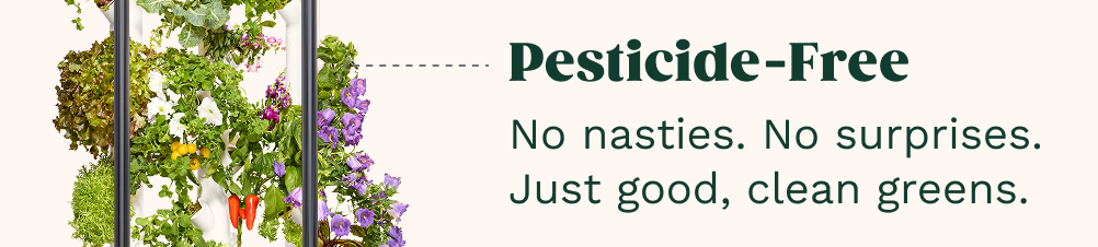 Pesticide Free | No nasties. No surprises. Just good, clean greans.