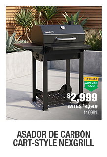 Asador de carbón