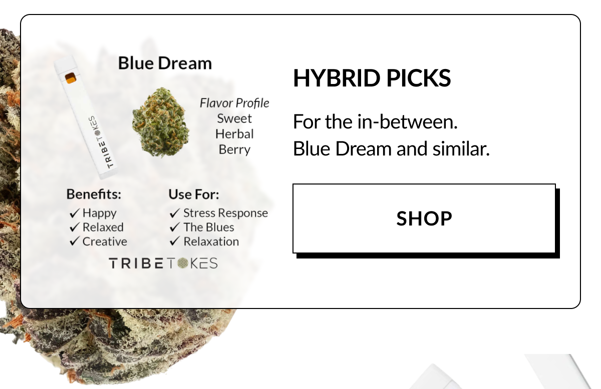 Hybrid picks