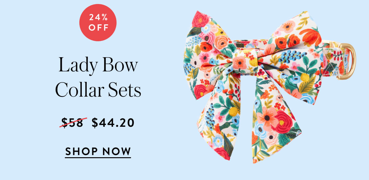 Shop Lady Bow Collars