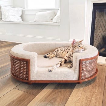 Gracie Rattan Upholstered Pet Bed