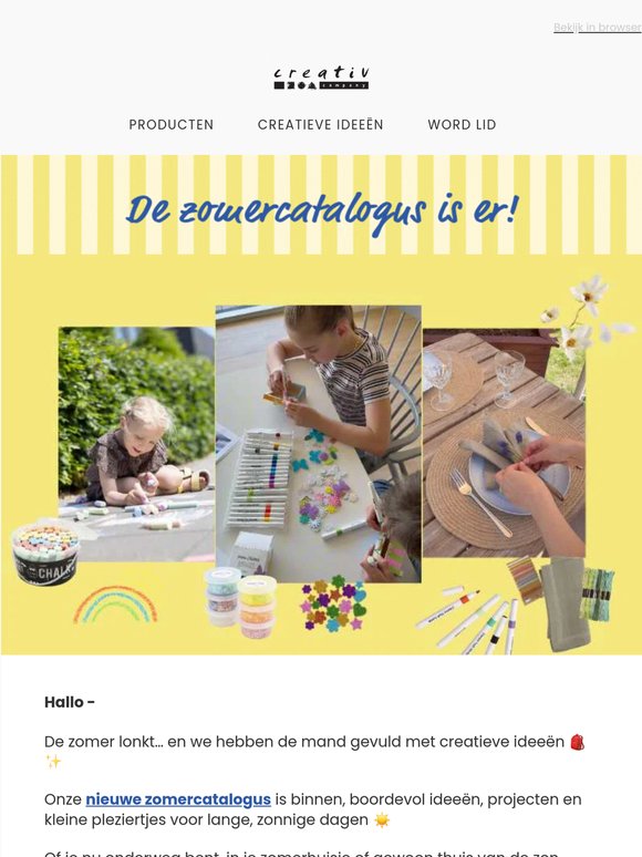 🌞 Vul je zomertas met creatief vermaak