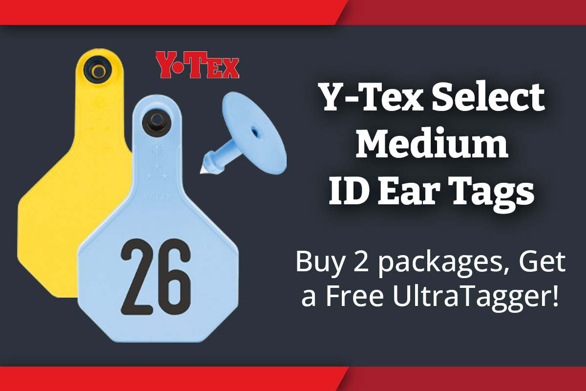 Buy 2 packages of select medium tags, Get a Free UltraTagger!