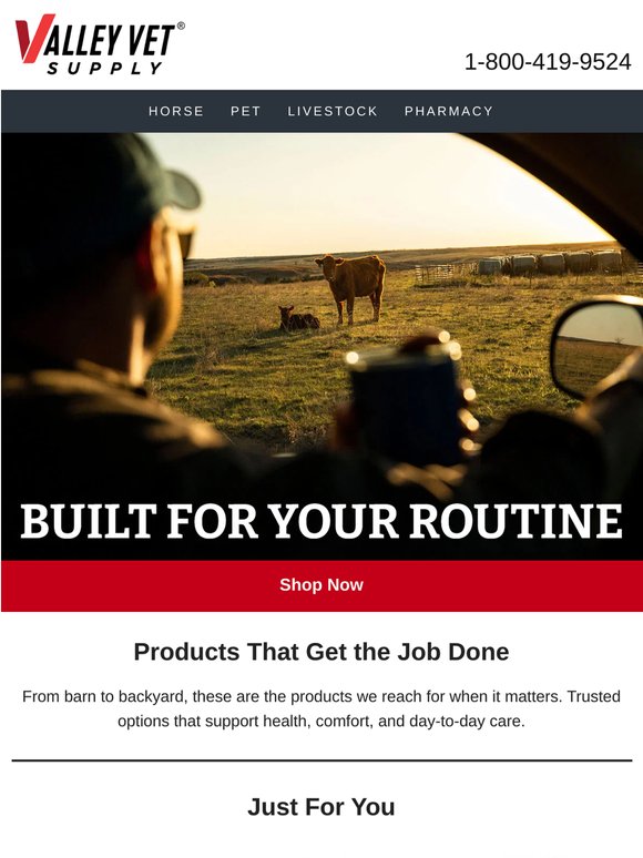 Products We Keep Coming Back To