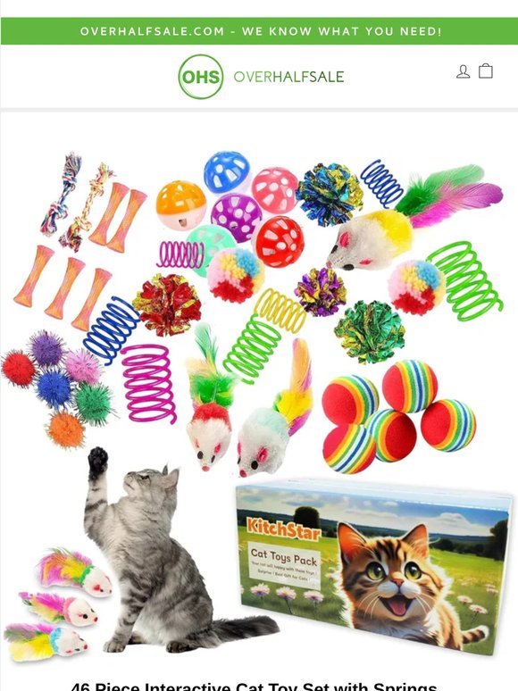 🐱 Keep Indoor Cats Active And Entertained 🎾