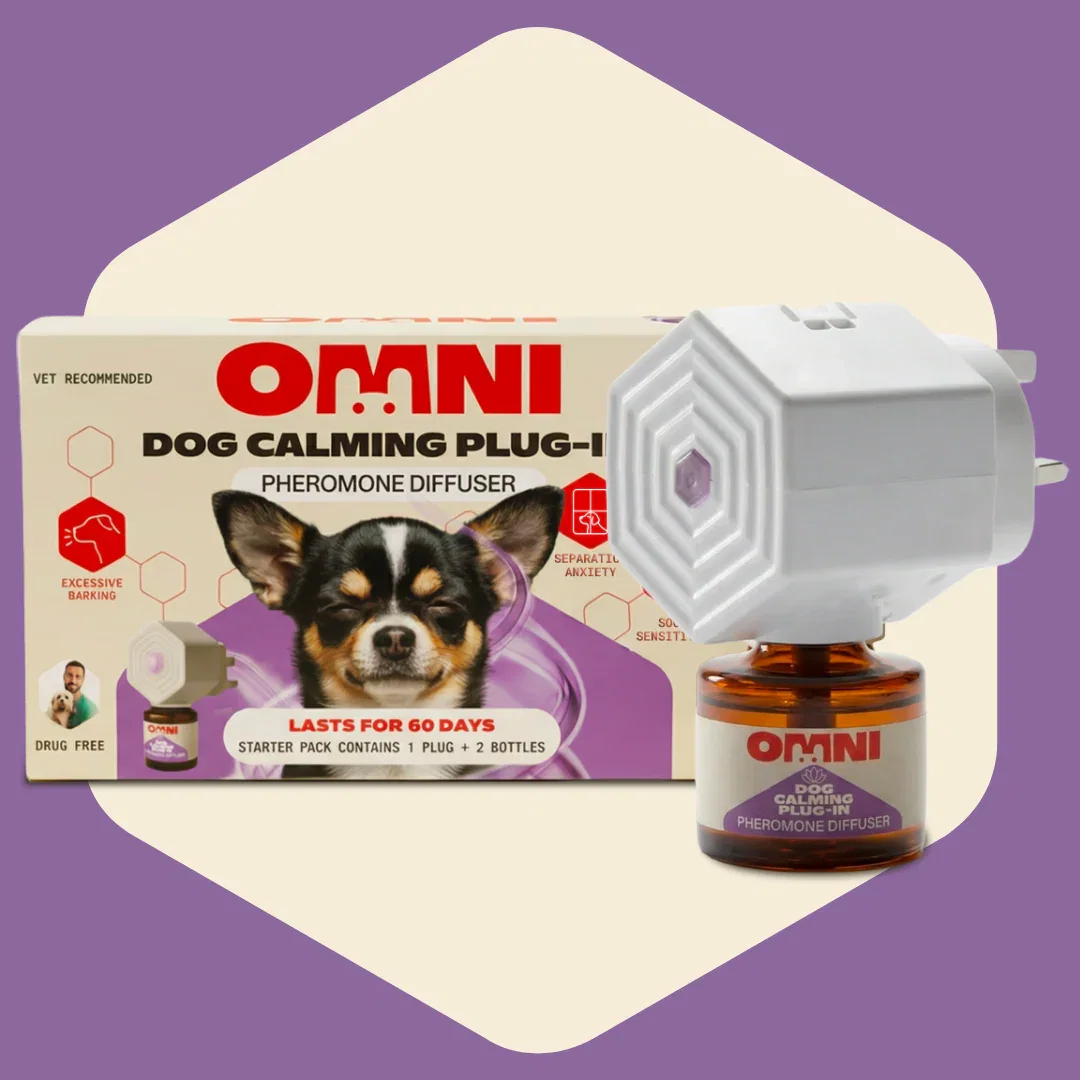 Image of Dog Calming Diffuser