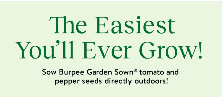 Garden Sown® Tomato and Pepper Seeds