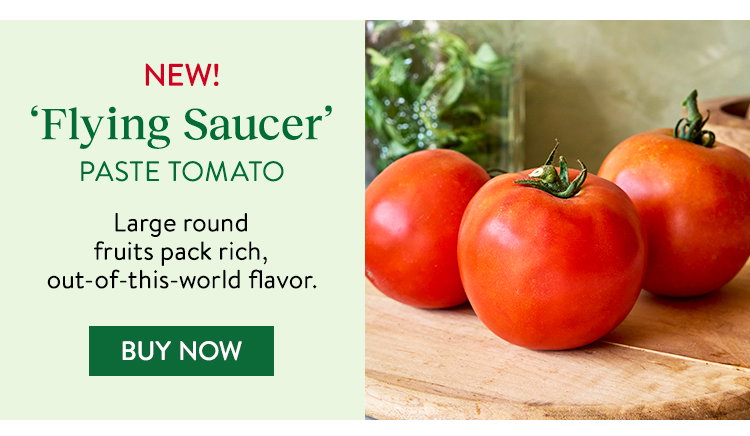Burpee Garden Sown™ Flying Saucer, Tomato