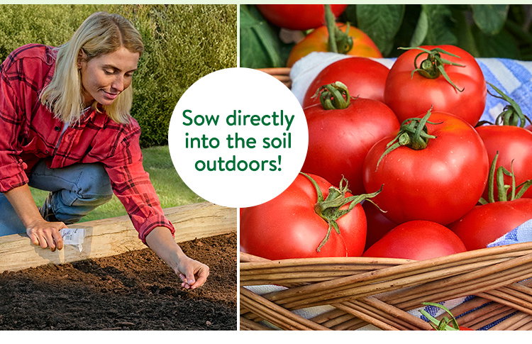 Burpee Garden Sown® Tomato and Pepper Seeds