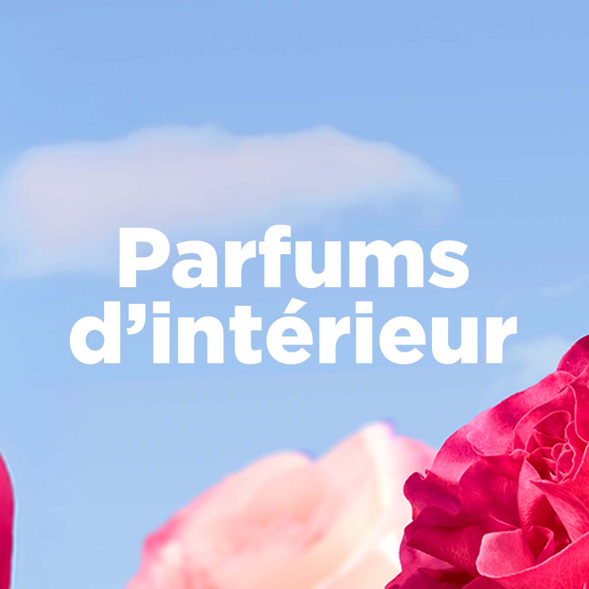 Parfums d'intérieur