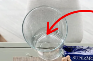 Instead of flowers, she just came up with the most unique thing to display in a spare glass vase