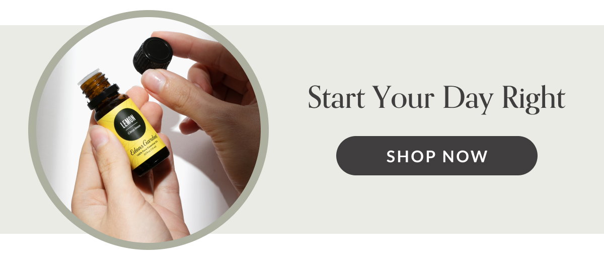 Start Your Day Right | SHOP NOW