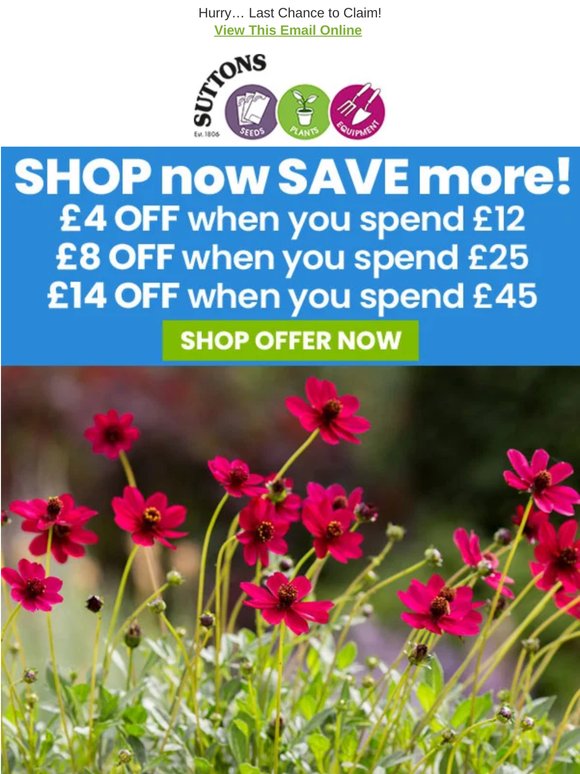 £14 OFF your order! ENDS TONIGHT!