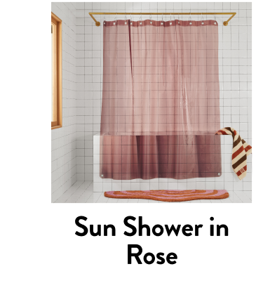 Sun shower in rose