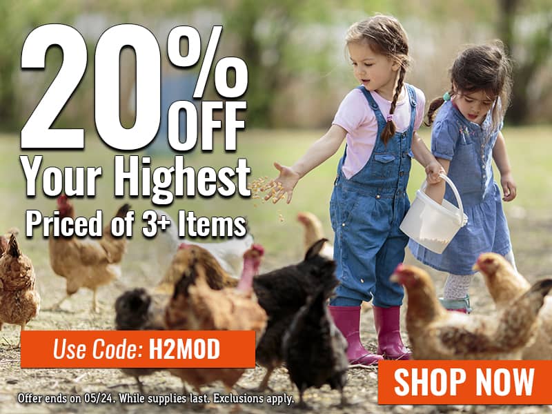 20% off Your Highest Priced of 3+ Items - Use Code: H2M0D