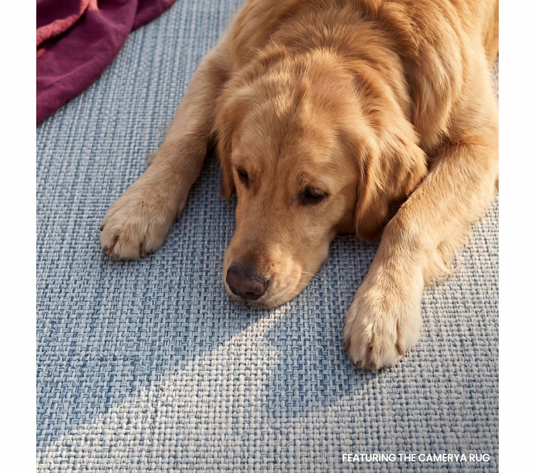 Shop Camyra Textured Modern Custom Rug