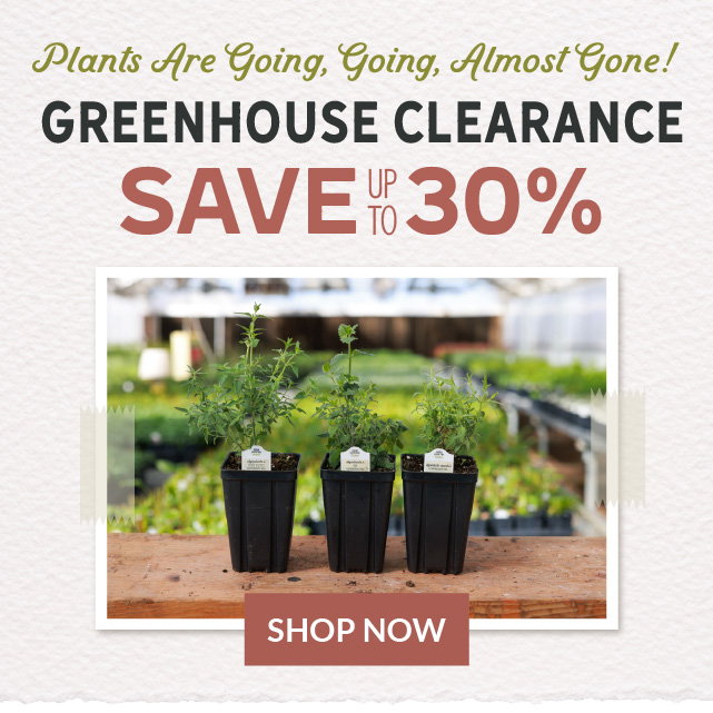 greenhouse clearance