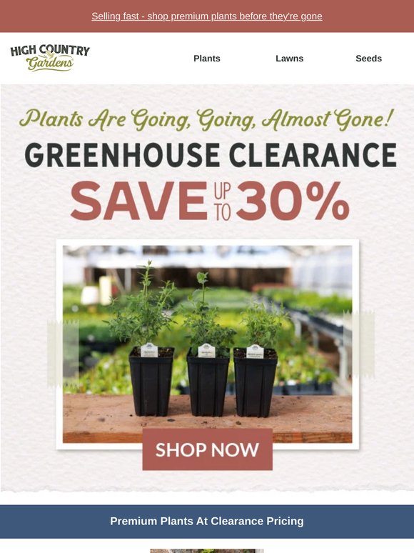 Shipping Now! Plants Up To 30% Off