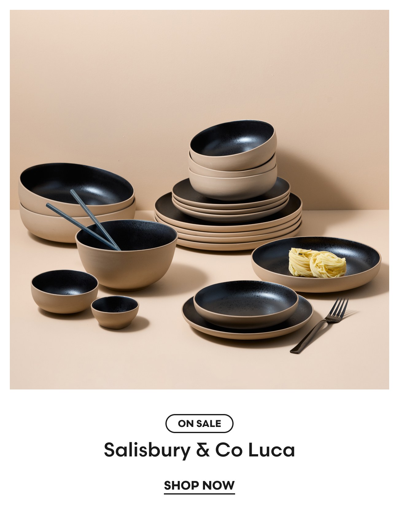 Salisbury & Co Luca Dinner Set 12pc 