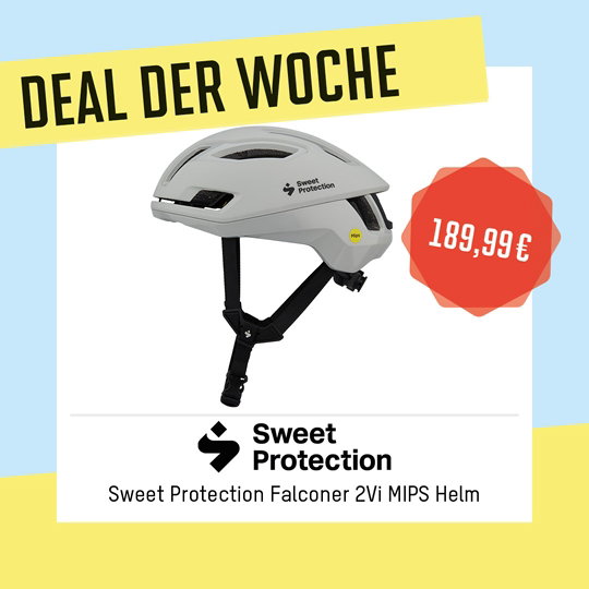 Sweet Protection Falconer 2Vi Mips Viz Helm