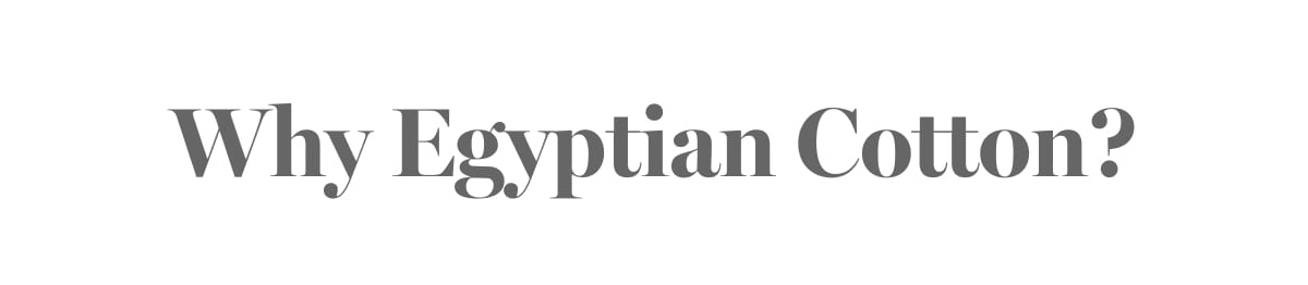 Why Egyptian Cotton?