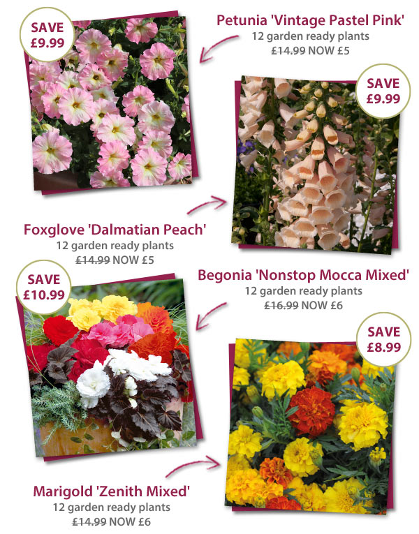 Garden Ready Mix & Match