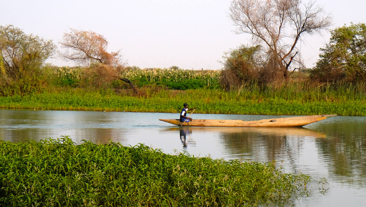 Immersion au Sénégal