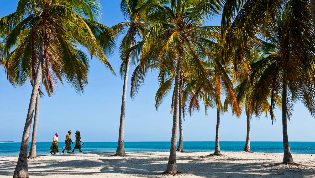 Immersion au Mozambique