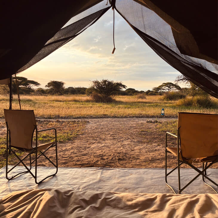 Immersion en Tanzanie