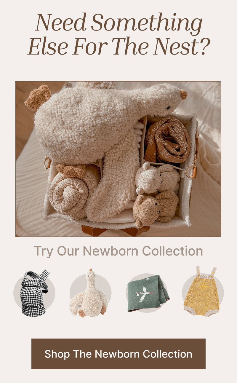 Flat lay of newborn items including plush toys, knit accessories, baby shoes, and soft neutral nursery products.