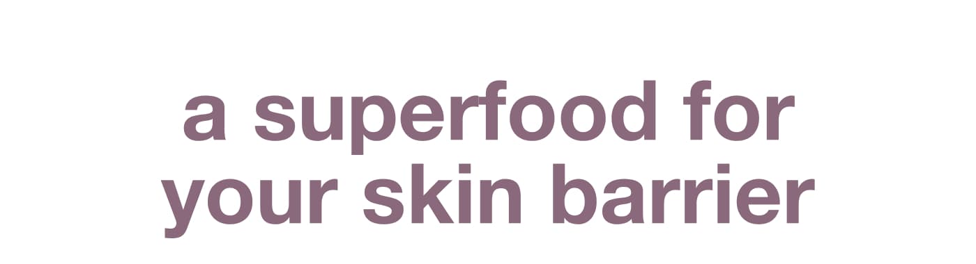 a superfood for your skin barrier