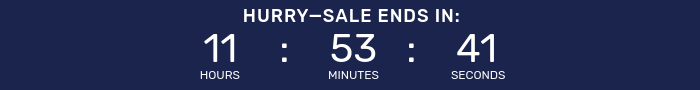 Countdown timer for Big Holiday Flash Sale.