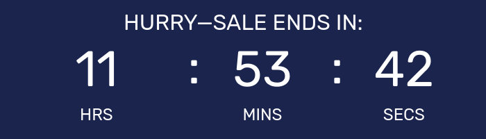 Countdown timer for Big Holiday Flash Sale.
