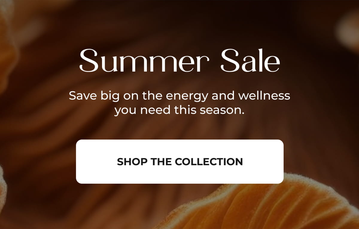 Shop The Collection
