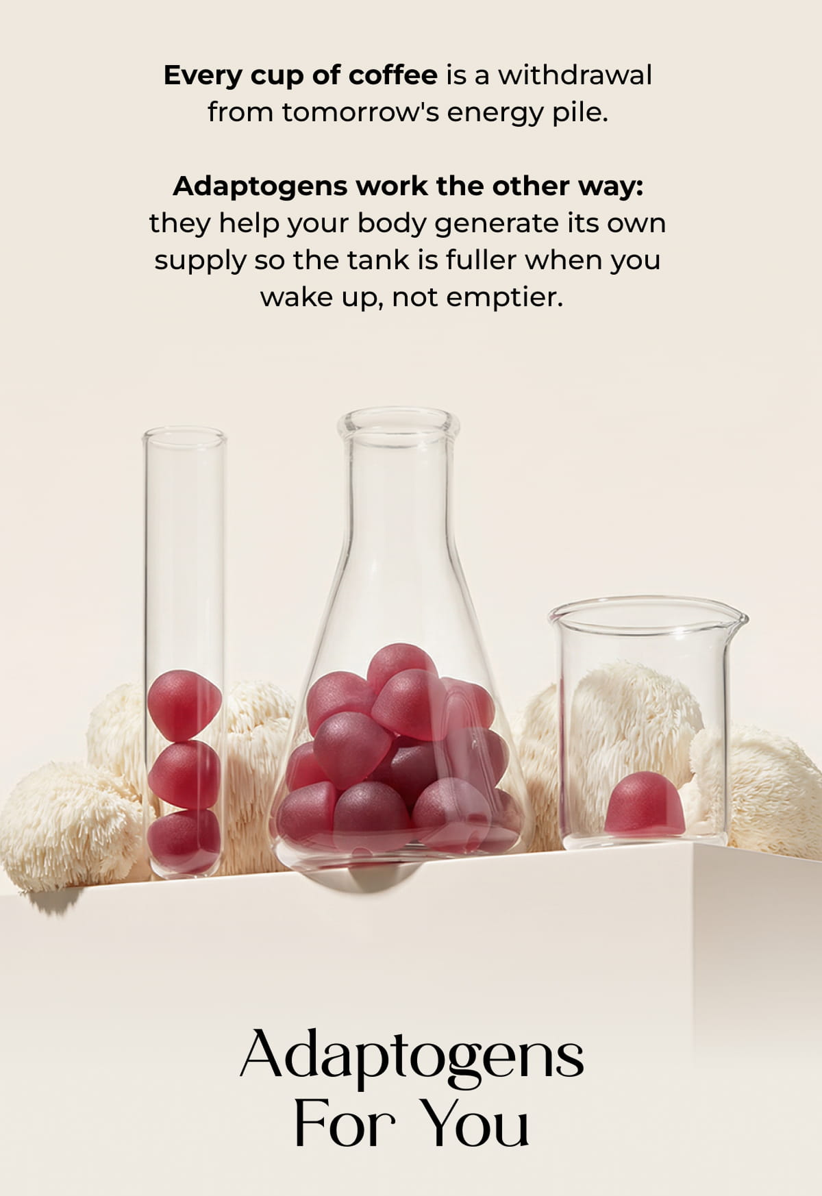 Adaptogens For You