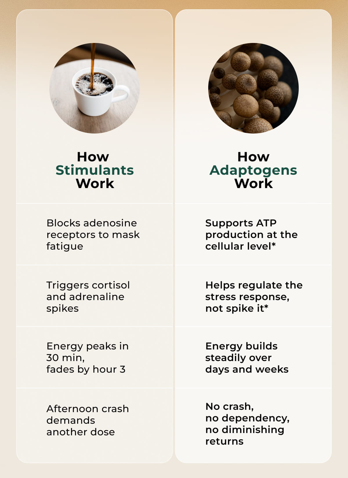 How Adaptogens Work