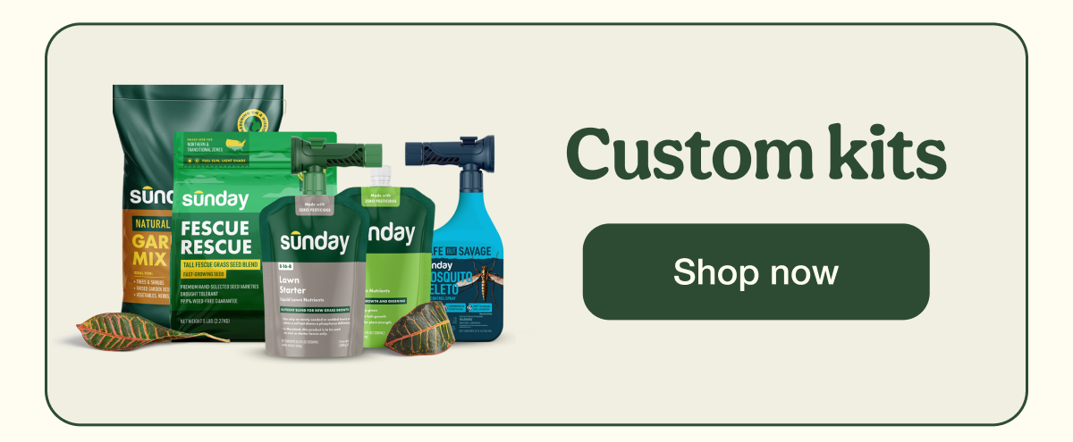 Custom kits | Shop now