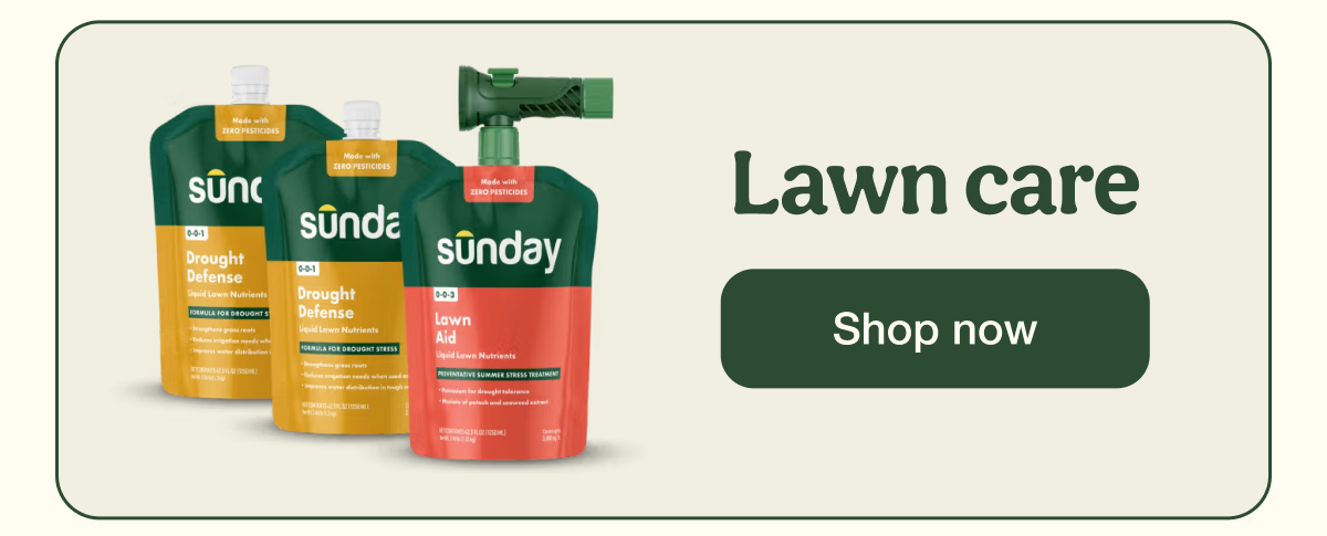 Lawn care | Shop now