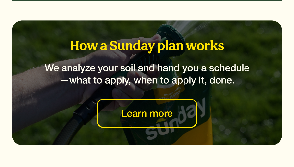 How a Sunday plan works | Learn more