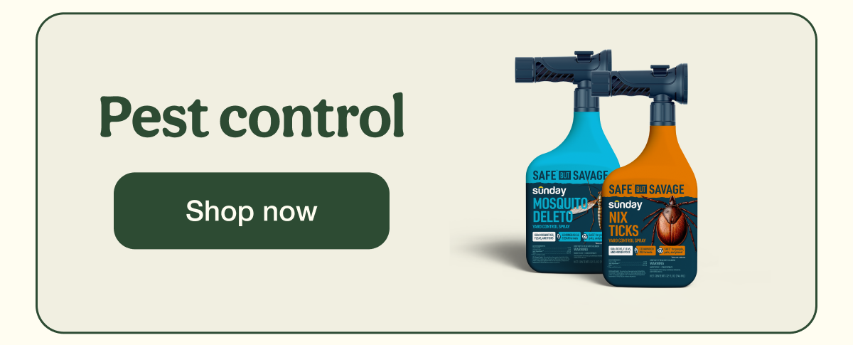 Pest control | Shop now