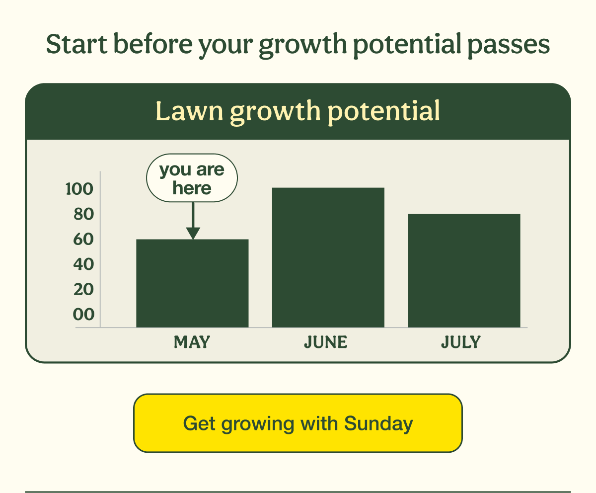 Start before your growth potential passes | Get growing with Sunday